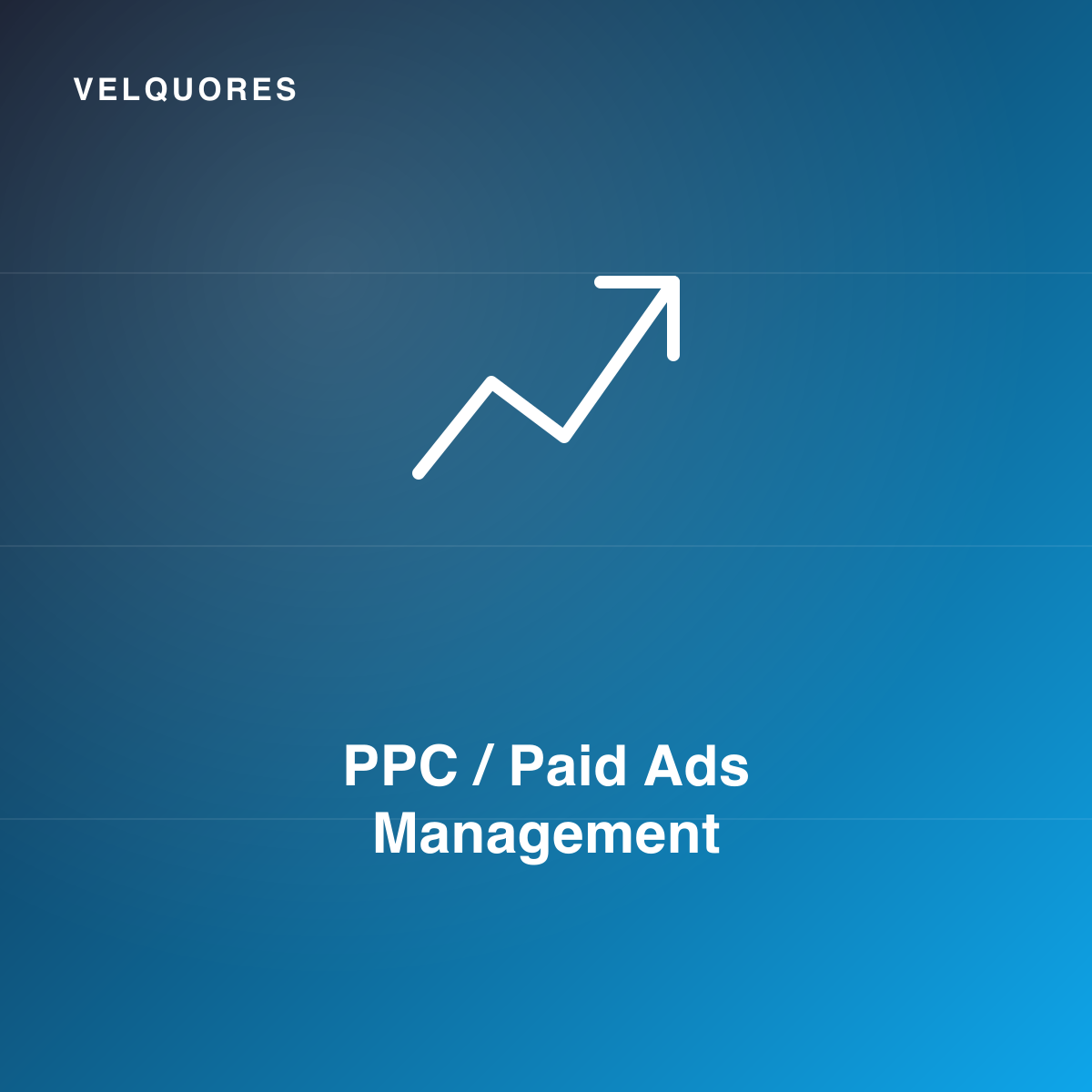 PPC / Paid Ads Management
